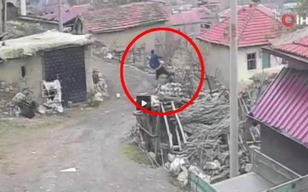 Eşini sopa ve yumruk ile dövüp yerde tekmeledi