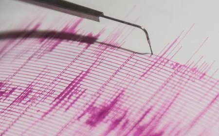 ABD'nin Alaska eyaletinde 7 büyüklüğünde deprem