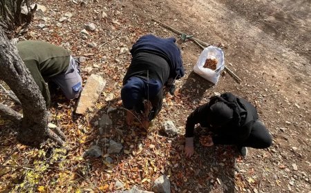 Ona "Beşbıyık" diyorlar, gelir kaynağı oldu. 30 yıl önce gizemli bir hayırsever aşılamış