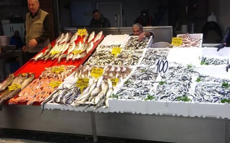 Bereket yaşanıyor, bol bol var. Fiyatı ucuzladı