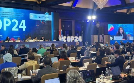 Türkiye, Akdeniz'de iklim değişikliği ile mücadelede de lider ülke olacak