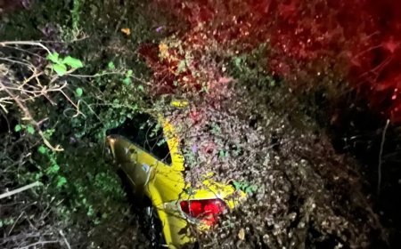 Seyir halindeki taksi, devrilen ağacın altında kaldı