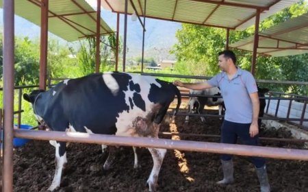 Milas'ta 11 mahalle karantinaya alındı