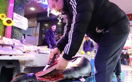 Özel izinle Eskişehir'e getirdi. Gören afallıyor, nadir rastlanıyor