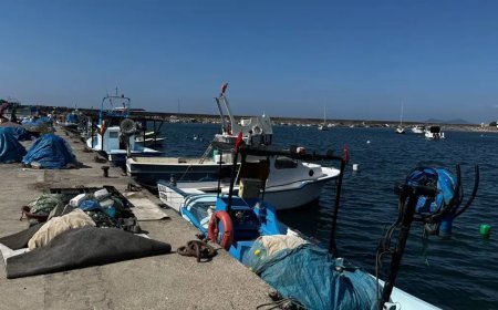 Karadeniz'de hayal kırıklığı. Aylar öncesinden hazırlık yaptı ama deniz bomboş