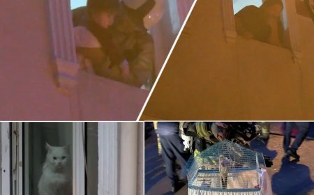 Apartman yangınında can pazarı