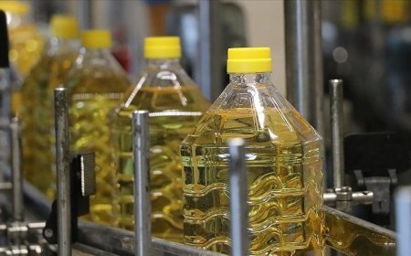 Ayçiçek yağı ihracatı 1 milyar dolara yaklaştı