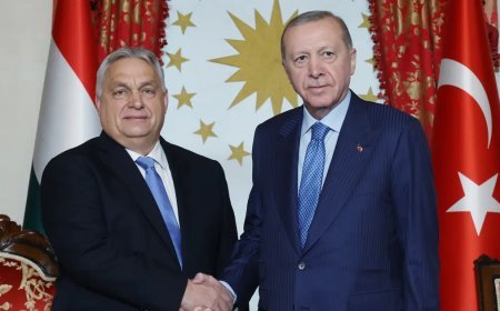 Rusya-Ukrayna savaşı. Cumhurbaşkanı Erdoğan: Barış için elden gelen gayreti göstereceğiz