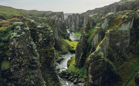 Ünlü milyarderden akılalmaz meydan okuma! ‘İspatlayana şirketimi devredeceğim’