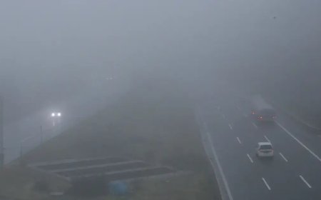 Bolu Dağı'nda göz gözü görmüyor, görüş mesafesi 35 metreye düştü