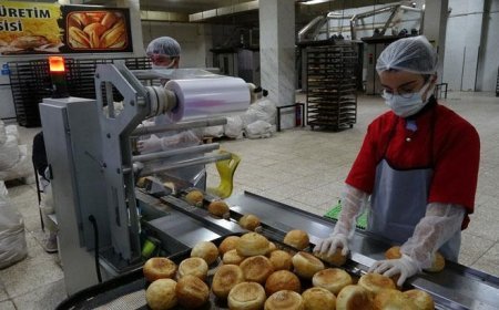 Fabrika gibi çalışan lisenin yıllık cirosu 1,5 milyon lira