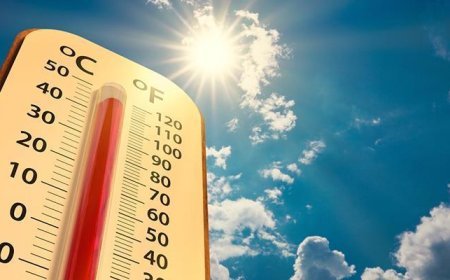 2025, 2024’ü aratmadı! Dünyanın en sıcak yıllarından biri olarak kayıtlara geçti: Rekor Türkiye'den