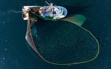 Su ürünleri avcılığı sözleşmeli üretim kapsamına alındı