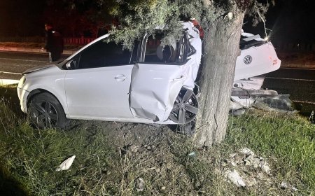 Tekirdağ’da kontrolden çıkan otomobil ağaca çarptı; 1 yaralı