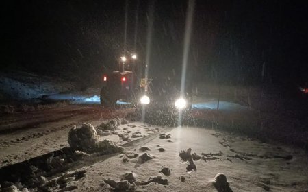 Muş’ta kar yağışı. Mahsur kalan 5 araçtaki 13 kişi kurtarıldı