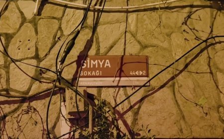 4 yaşındaki çocuk ve annenin dehşet anları. Silahla girip ağızlarını bantladılar