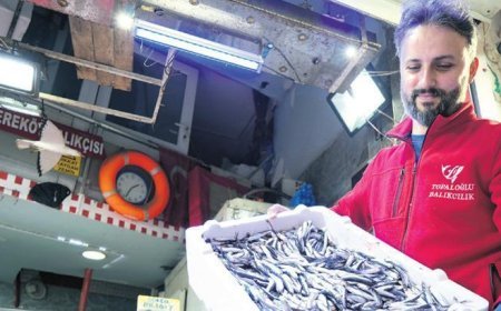 Hamsi yüz güldürdü