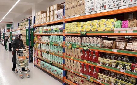 Ticaret ve perakende satış hacmi ekimde artış gösterdi