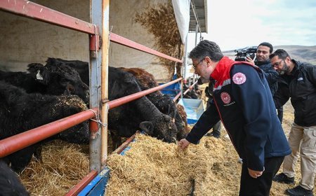 Bakan Yumaklı: Kırmızı et üretimi konusunda çok ciddi potansiyelimiz var