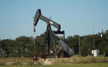 OPEC'in ham petrol üretimi kasımda günlük 1000 varil azaldı