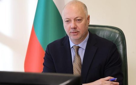 Bulgaristan Başbakanı Jelyazkov istifa etti