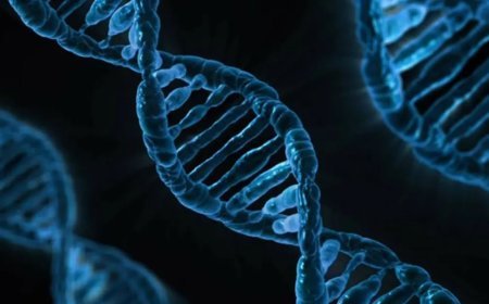 İnsan DNA'sında gizli bir zayıf nokta keşfedildi. "Mozaik mutasyonları" tetikliyor