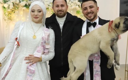 Düğünde gelin ve damada takı yerine çoban köpeği hediye edildi