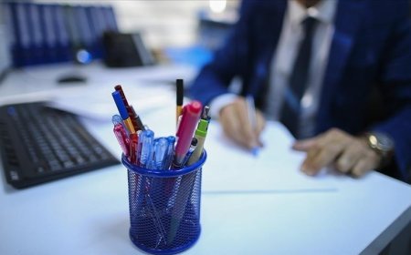 Vergi Denetleme Kurulu 250 müfettiş yardımcısı alacak