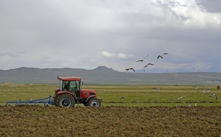 Çiftçilere 1 milyar 46 milyon lira tarımsal destekleme ödemesi!