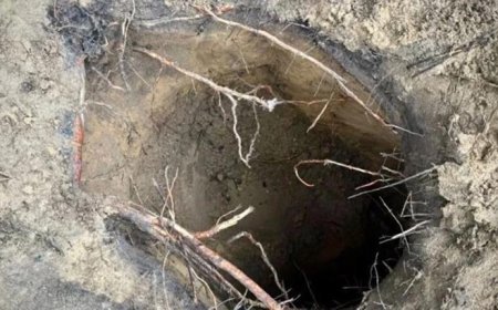 Belarus'tan kazılan tünelle 180'den fazla yasa dışı göçmen Polonya'ya geçti