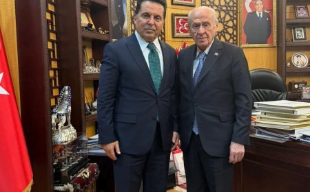 Ahmet Özer, Bahçeli ile görüştü
