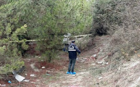 Kayıp olarak aranıyordu, ormanda ölü bulundu