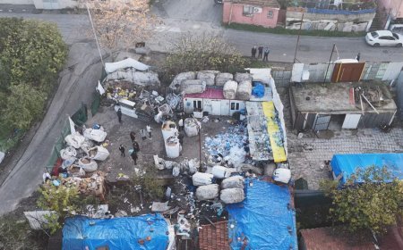 Ataşehir'de kaçak at kesimi iddiası. 2 şüpheli gözaltına alındı