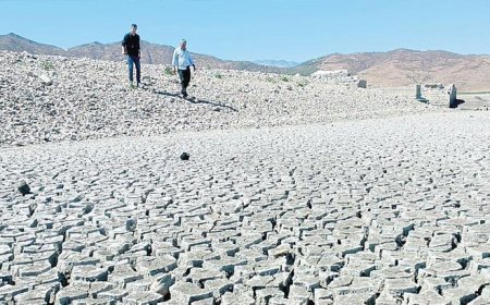 ‘Kuraklığa uygunluk’ haritası çıkarılacak
