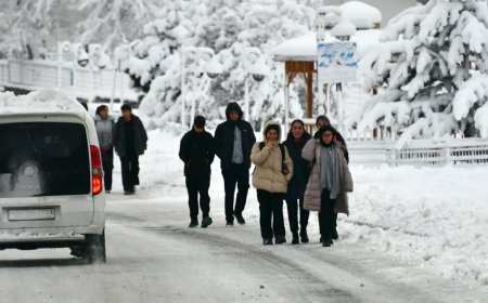 Dikkat! Tarih belli oldu, 18 şehirde lapa lapa kar yağacak