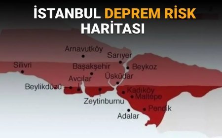 Uluslarası bilim ekibi İstanbul depremi için riskli bölgeyi işaret etti. "Sessiz segment depremin ana kaynağı olabilir"