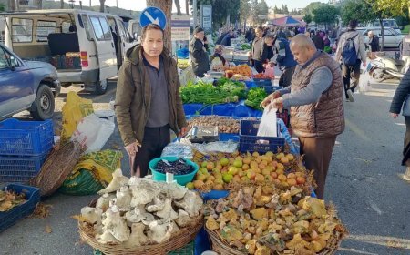 Bin 800 rakımlı yayladan topluyor. Pazarın ilgi odağı, tezgahta gören almadan dönmüyor