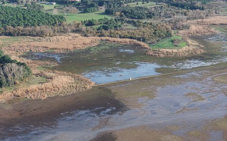 İstanbul'da tehlike kapıda! Geçen yıl yüzde 40'tı, bu sene yüzde 17