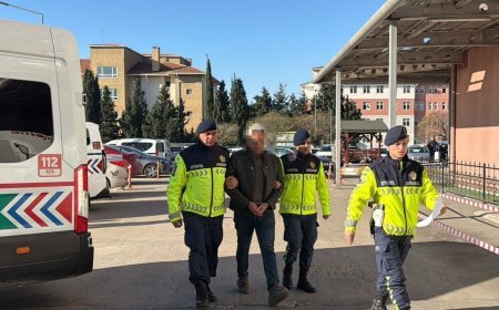 Durdurulan araçtan 15 kaçak göçmen yakalandı