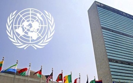 BM: İsrail, Batı Şeria'daki yerleşim genişletme çalışmalarına son vermeli