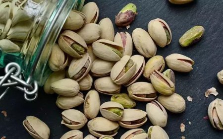 Antep fıstığında ürün senedi düzeni değişti: Blok senet dönemi başlıyor