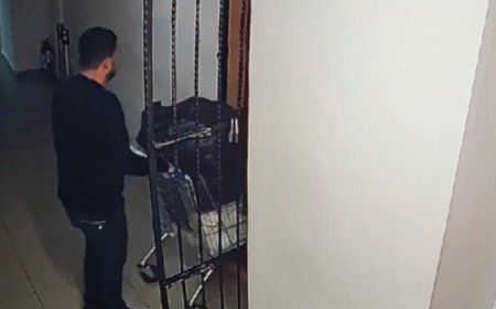 Erdal Timurtaş ve eşi hakkında kırmızı bülten çıkarıldı