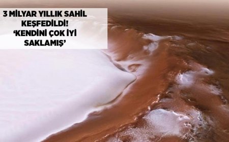 SON DAKİKA HABERLER: 3 milyar yıllık 'gizli sahil' keşfedildi! 'Kendini çok iyi saklamış'