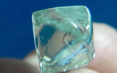 SON DAKİKA HABERLER: 2 arkadaş şans eseri buldu! 55 bin dolar değerinde