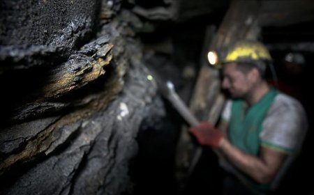 Türkiye Taşkömürü Kurumu, 263 işçi alacak