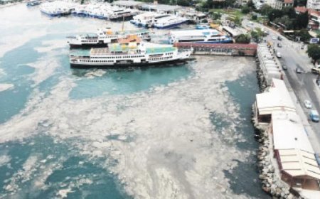 Çevreyi kirletene 7.7 milyar TL ceza