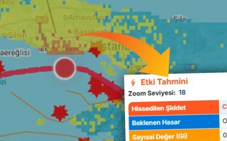 Deprem Bilgi Sistemi'ne yeni özellik. Sokak sokak olası hasar bilgisi eklendi