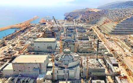 Akkuyu NGS'de 2026'nın 'devreye alma yılı' olması bekleniyor