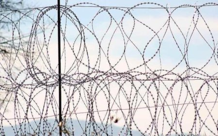 SON DAKİKA HABERLER: Soğuk Savaş'ın ardından ilk! Avrupa'da sınırlara mayın döşenmeye başlandı