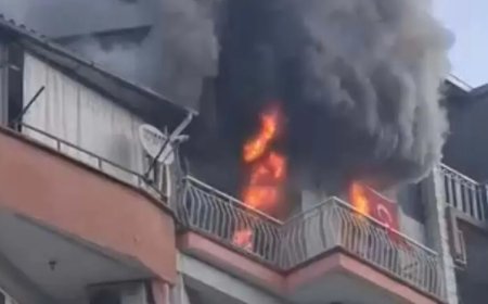 Manisa'da alevler evi sardı, altı kedi öldü